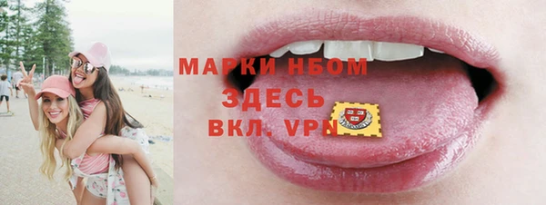 гидра Вязьма