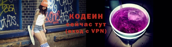 гидра Вязьма
