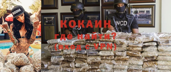 гидра Вязьма
