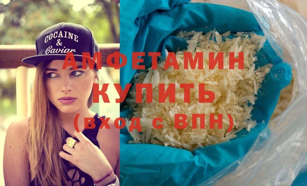 гидра Вязьма