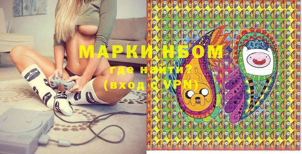 гидра Вязьма