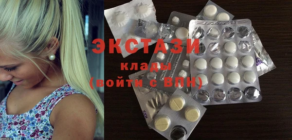 гидра Вязьма