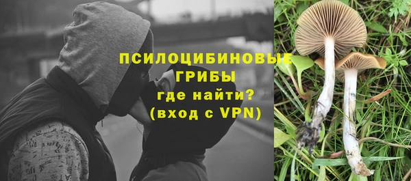 спайс Вязники