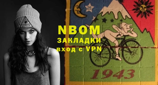 гидра Вязьма